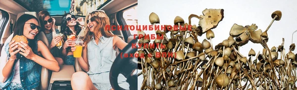 трава Грязовец